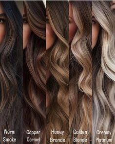 Brunette Balayage Hair Honey Blonde, Toner Hair Colours, Caramel Highlights On Dark Hair Balayage, Balayage Butterfly Cut, Dark Base Balayage, Hair Color Ideas For Light Brunettes, Honey Bronde Haircolor, Caramel Hair With Blonde Highlights, Clip In Hair Extensions Styles