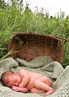 a newborn baby is sleeping in a basket on the grass with a blanket over it