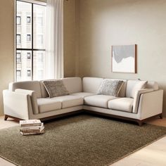 a living room with a couch, rug and window