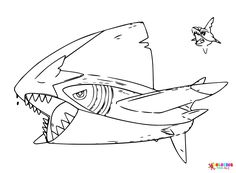 a drawing of a shark with its mouth open and teeth out, while another bird flies by