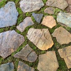 some rocks and grass on the ground