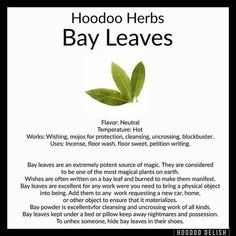 Hoodoo Herbs, Money Spells That Work