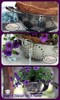 three pictures showing different types of pots and pans with flowers in them on the table