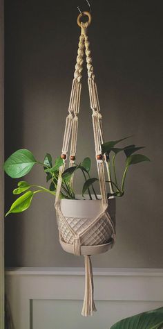 a potted plant hanging from a rope