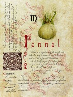 BOS ~ Fennel page inspired by the book in Practical Magic Stary Papier, Halloween Spells, Book Of Spells, Halloween Forum, Magickal Herbs, Witch Herbs, Magia Das Ervas, Magic Herbs, Magical Herbs