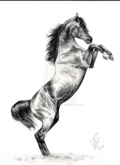 a black and white drawing of a horse rearing its hind legs in the air