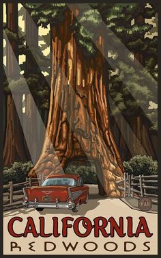 a red car is parked in front of a giant tree with the words california redwoods on it