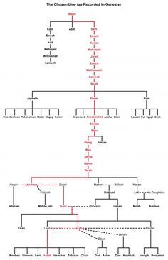 a diagram showing the different stages of an animal's life cycle, from earliest to present