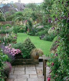 a garden filled with lots of different types of flowers