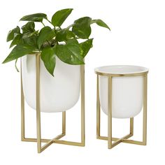 two white and gold planters sitting next to each other on metal stands with plants in them