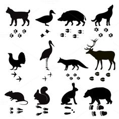 various silhouettes of animals and birds