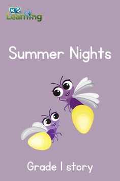 the book cover for summer nights grade 1 story, with two bees on top of each other