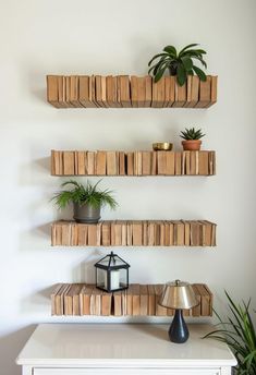 two shelves with books and plants on them