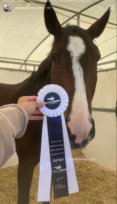 a person holding a horse's head while it is being held by a ribbon