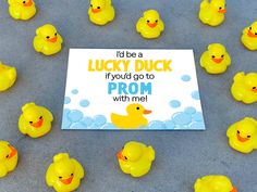 there are many rubber ducks in front of a card that says, i'd be a lucky duck if you go to prom with me