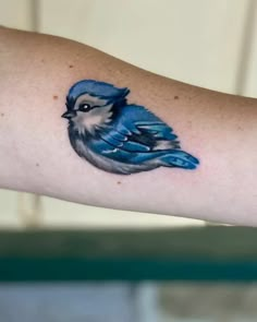 a small blue bird tattoo on the arm