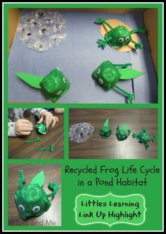 the recycling frog life cycle in a pond habitat at arts and crafts with little kids