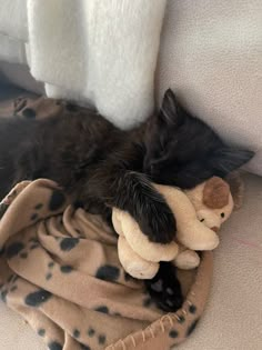 a black cat sleeping on top of a pile of stuffed animals next to a blanket