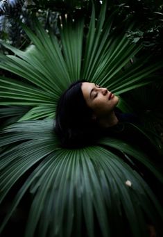 a woman is laying down in the middle of a palm tree with her eyes closed