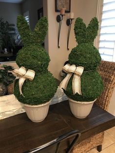 two potted plants are sitting on a table in front of a mirror, one is shaped like a rabbit