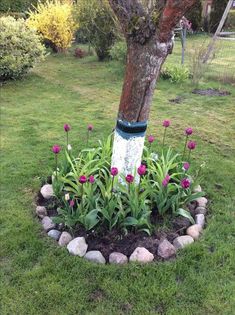 a flower bed in the middle of a yard with rocks around it and a tree