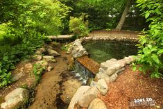 a small pond surrounded by trees and rocks