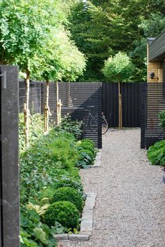 an outdoor garden with lots of green plants and gravel path leading to a small house