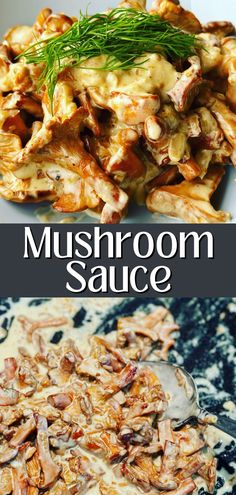 mushroom sauce in a white bowl and on top of a blue table cloth with the words mushroom sauce above it