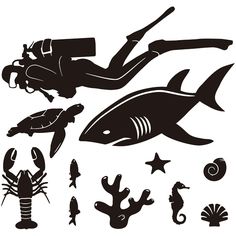 scuba divers and sea animals silhouettes