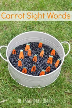 carrot sight words in a pail filled with black beans and carrots on the grass