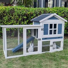 a white and blue chicken coop with two rabbits in it's run, next to a hedge