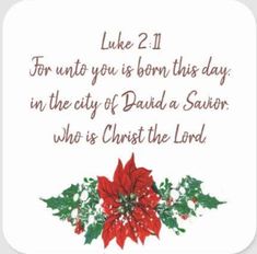 a christmas card with poinsettis and holly on the corner, says luke 2 11 for unto you is born this day in the city of david a square sticker