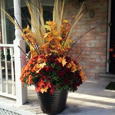 a large potted plant sitting on the front porch