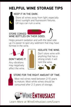 Storage Wine Basics, Wine Knowledge, Wine Education, Wine Guide, Storage Tips, Wine Refrigerator, Wine Food Pairing, Wine Cocktails