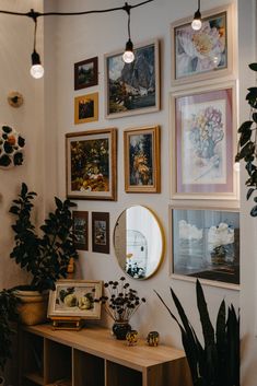 there are many pictures on the wall and plants in front of the mirror with lights above them