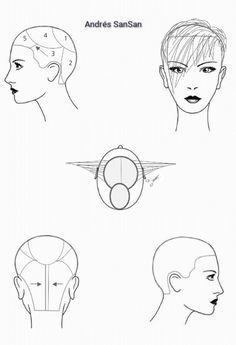 COLLECTION SENSATION. ANDRÉS SANSAN.  Corte paso a paso: paso 1. cortamos a 90º con la técnica pointing.  paso 2. hacemos una línea vertical guía y cort... - Andrés SanSan - Google+ Hair Cut Guide, Diy Haircut, Short Hair Styles For Round Faces, Girl Short Hair, Bath And Body Care, Head Shapes, Wig Accessories, Hair Color And Cut, Short Hair Styles Pixie