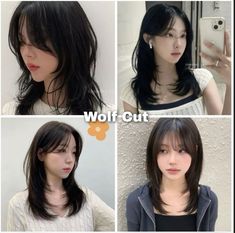 aesthetic hush cut wolf cut curtain bangs medium lenght hair #hairstyle #korean #haircut Asian Layered Hair Medium With Bangs, How To Cut Hush Cut, Wolf Haircut Without Bangs, Asian Girl Wolf Cut Hair, Wolf Cut Curtain Bangs Medium Hair, Hush Cut No Bangs, Haircut Recommendation, Short Hush Cut With Curtain Bangs, Hush Haircut Short