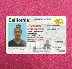 Fake drivers license online Australian Passport, Visa Passport, Blank Id Cards, Visa Usa, Biometric Passport, Uk Passport, Licence Test, Driving Permit