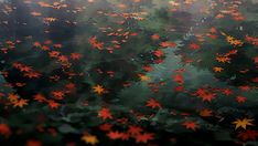 red and yellow leaves floating on water in the air with trees in the back ground