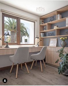 two chairs sitting in front of a window next to a potted plant and bookshelf