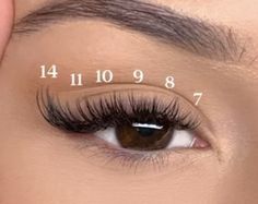 Cat Eye Wispy Lash Extensions Hybrid, Cat Eye Lash Clusters, Lashe Map Clusters, Lash Clusters Map, Open Eye Lash Map, Short Cat Eye Lash Extensions, Cat Eye Map, Classic Lash Map, Volume Cat Eye Lash Extensions