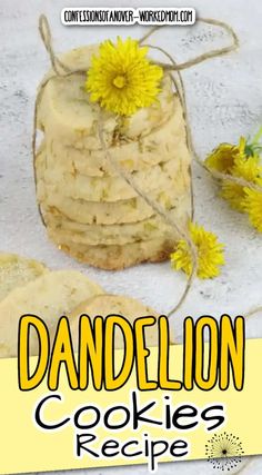 dandelion cookies recipe with text overlay that reads, dandelion cookies recipe