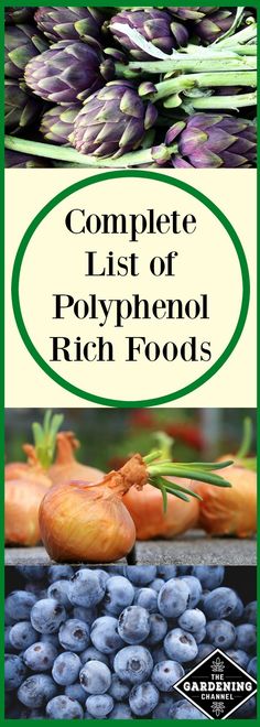 Polyphenol rich foods are an important part of your diet.  There are many fruits and vegetables that have high polyphenol content.  Try planting some of these in your garden. Coastal Recipes, Plant Paradox, Mediterranean Diet Plan, Baking Soda Beauty Uses, Odd Stuff, Candida Diet