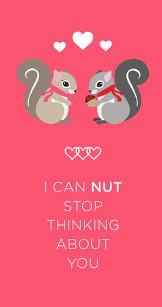 an image of two squirrels with hearts on the back and text that says i can not stop thinking about you