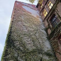 an old building with ivy growing on it