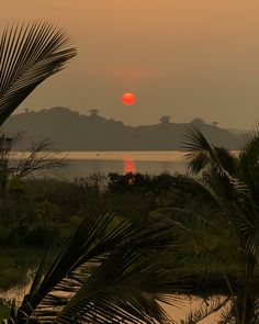 the sun is setting behind some palm trees and mountains in the distance with water below