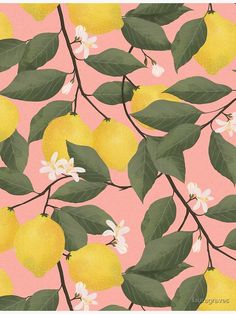 a pink background with yellow lemons and green leaves