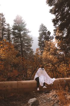 a person sitting on a log in the middle of a forest with trees and rocks