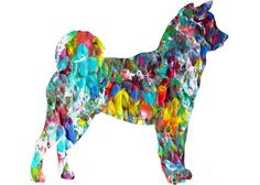 a dog made up of many different colors