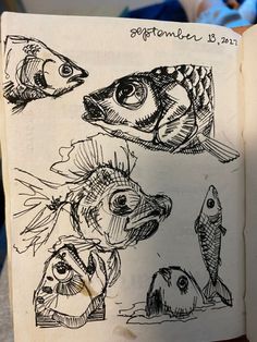 an open book with drawings of fish on it